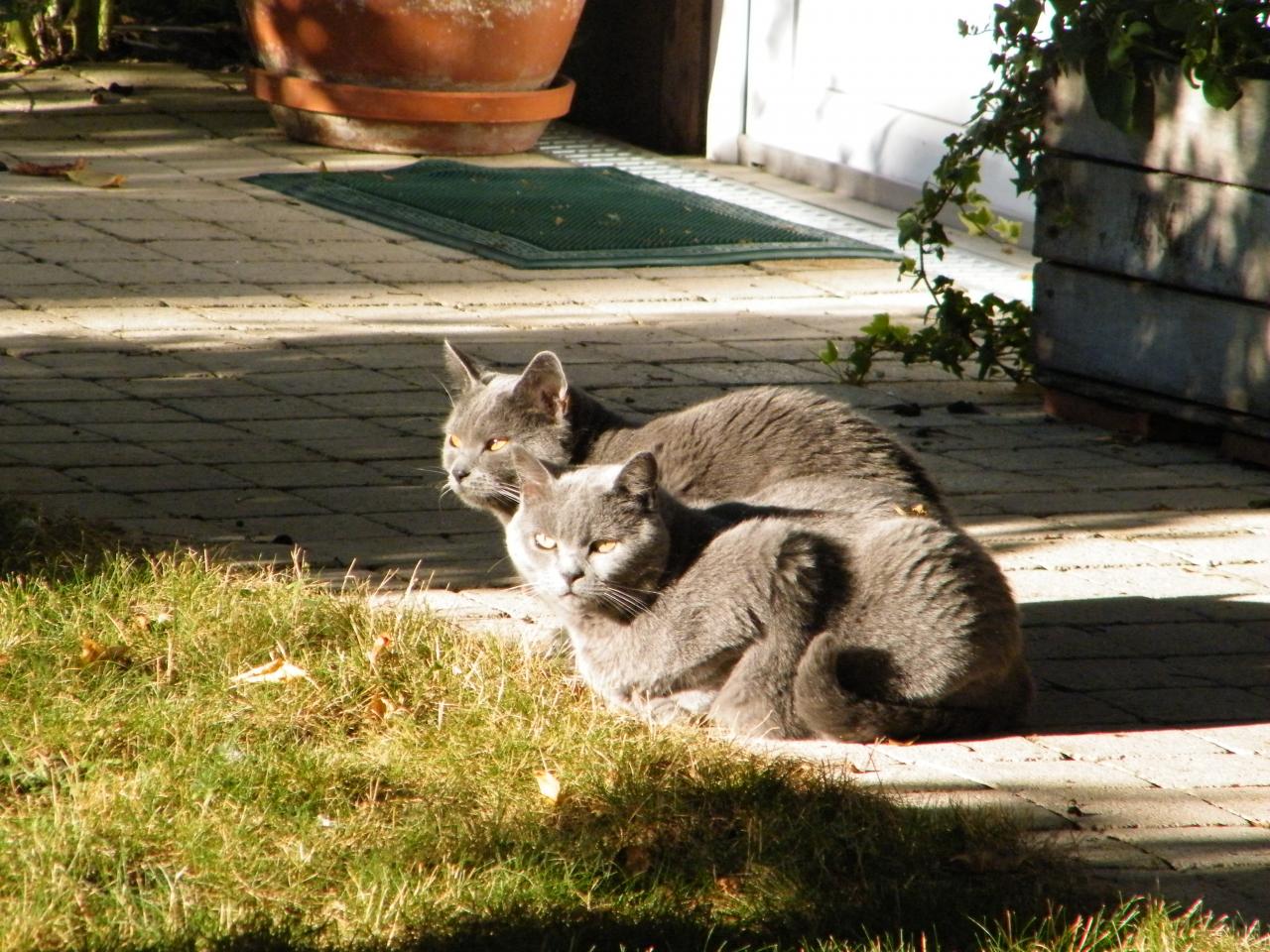 Hakuna et Vanina aux premiers soleils