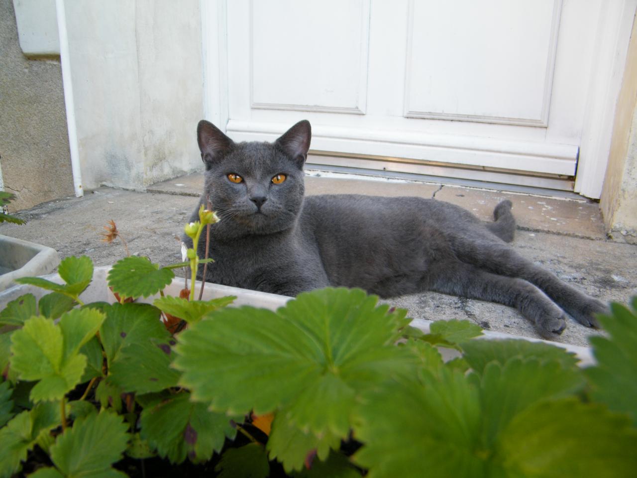 Milo 10 mois plutôt beau gosse !