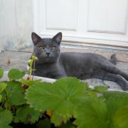 Milo 10 mois plutôt beau gosse !