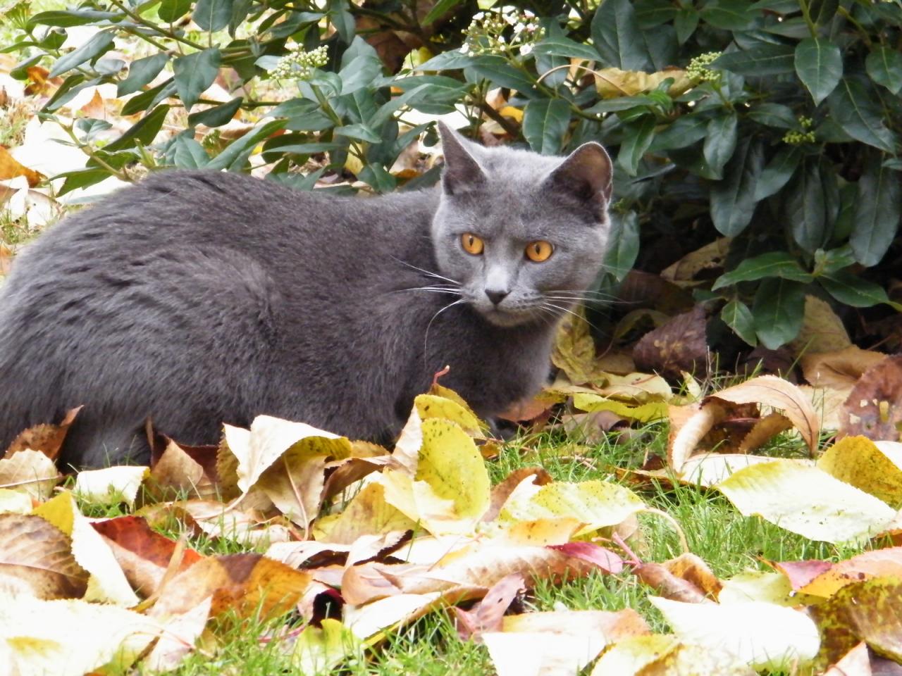 Félicie 2 ans