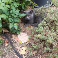 Milo 3 ans