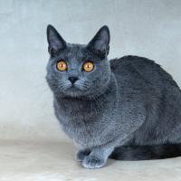 Rosie 3 ans