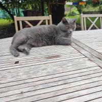 Rosie 3 ans et demi 2 
