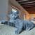 Exceptionnel portrait de Melle Rose qui accepte de poser !