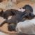 Melle Jaune et Melle Orange : sieste entre cousines