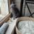 Melle Orange en pose observation oiseaux