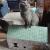 Mr Turquoise sur le toit du monde !