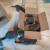 Ah les chats et les cartons !!!