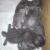 Petit tas de chatons