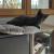 Ou sur mon nouveau spot d'observation !
