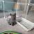 Jolie pause de Mr Bleu