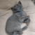 Mr Bleu en totale relax