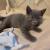 Mr Bleu : bon j'aimerais bien dormir moi !!