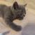 Mr Bleu : Enfin !