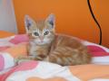 dscf4419.jpg