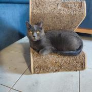 Susie-Lou 3 ans